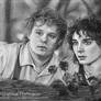 Lotr: Frodo and Sam