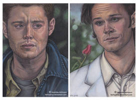 SPN: The End Complete