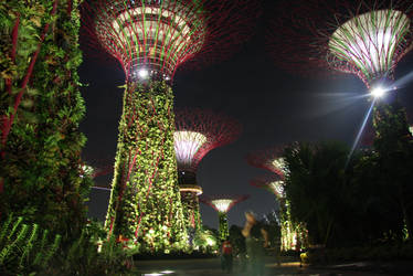 singapore - garden by the bay