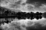 black and white. by emilyx09