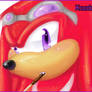 .+: knux.pocky :+.