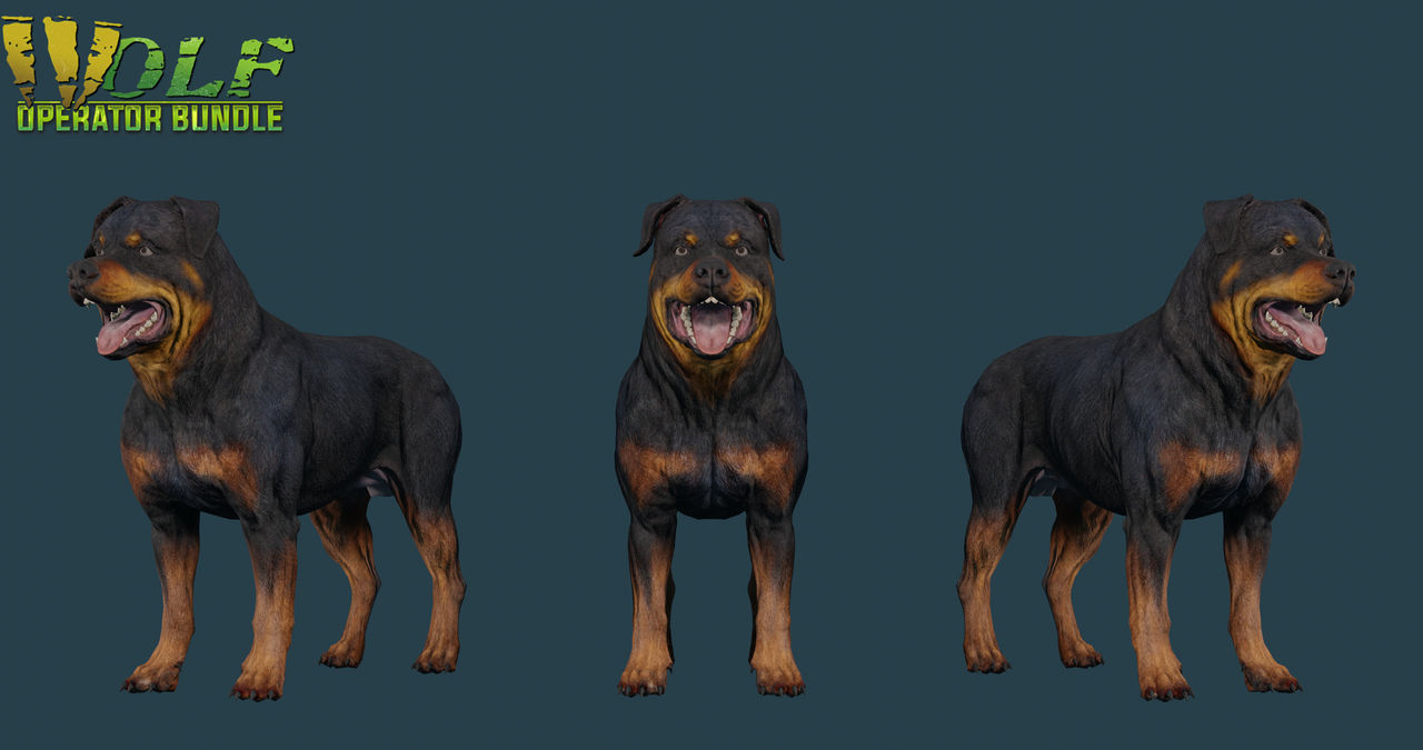 Kerbal Rtc Rottweiler Rottweiler by 3DMAssets on DeviantArt