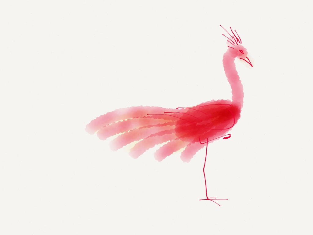 Red Bird