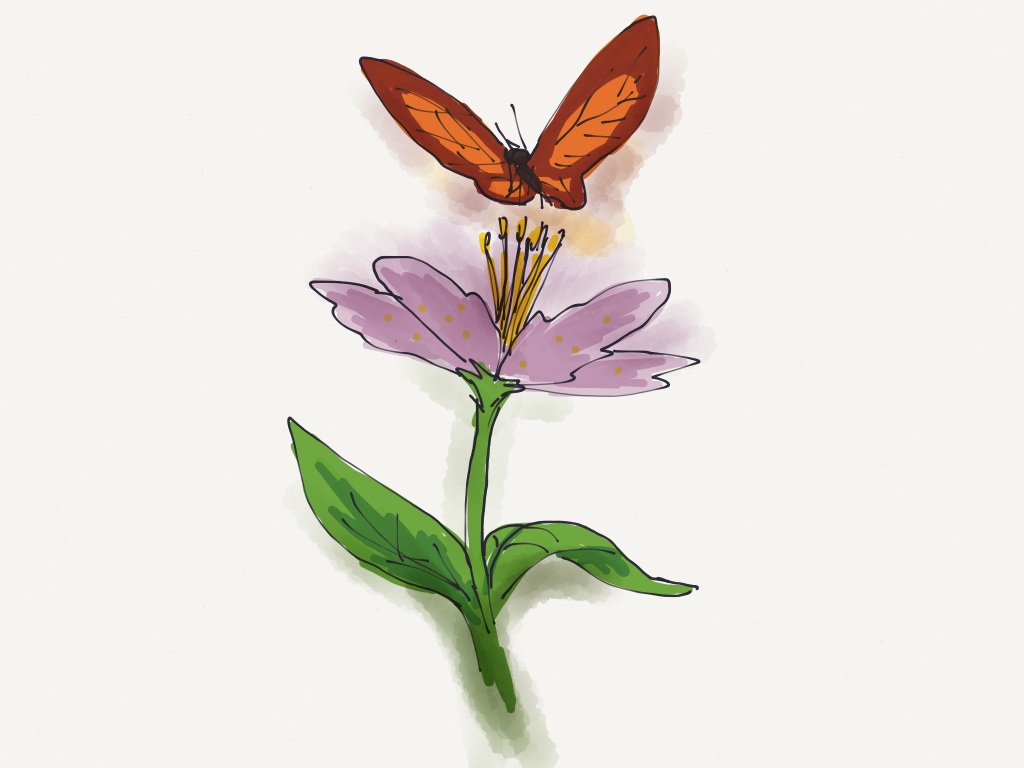 Flower and Butterfly