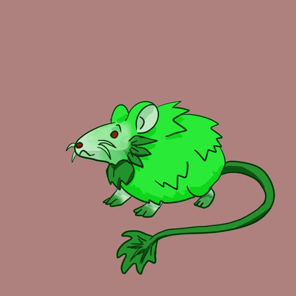 Wood-rat