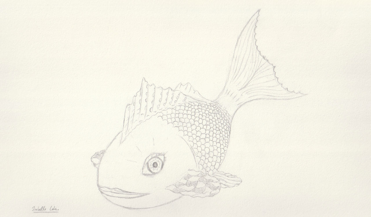 April fish by isabellecohen on DeviantArt
