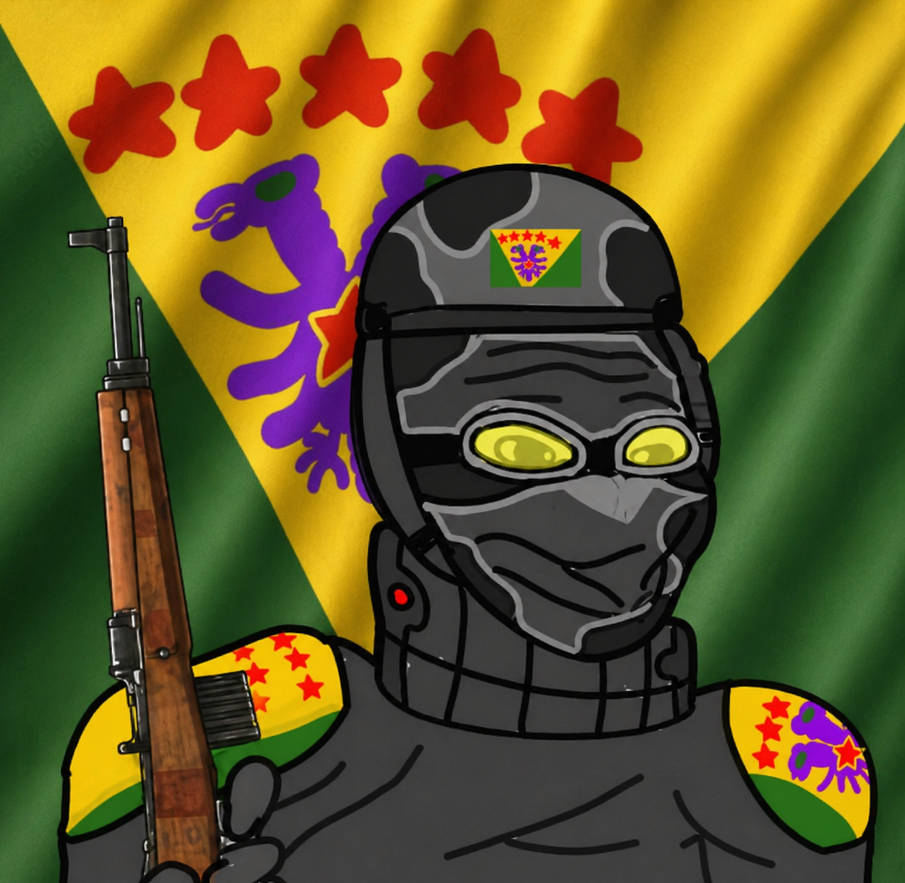 Kansas Rdos My official RDOS military arme coat fanart by Albaniaball on DeviantArt