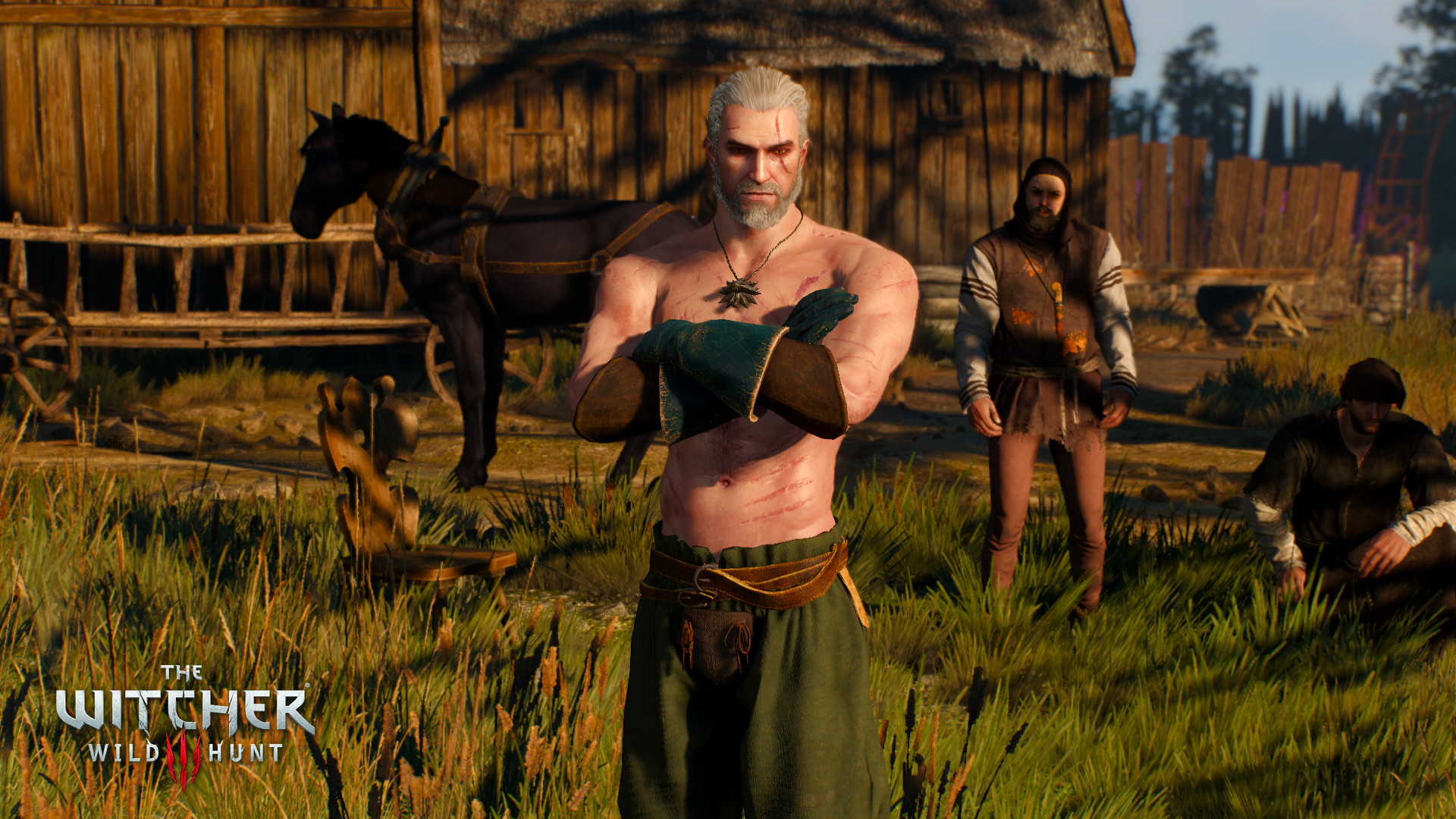 The Witcher 3 - Champion of Velen