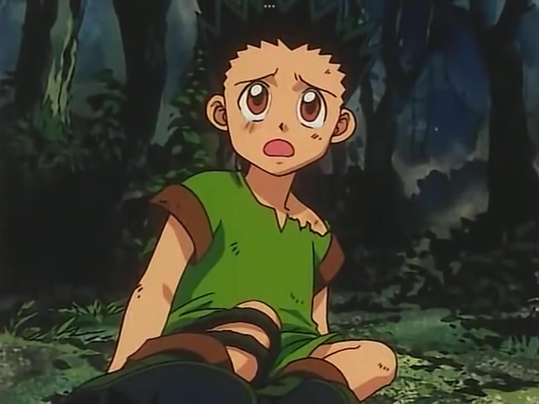 Hunter X Hunter (1999) Ep.1 by animateddistressed88 on DeviantArt