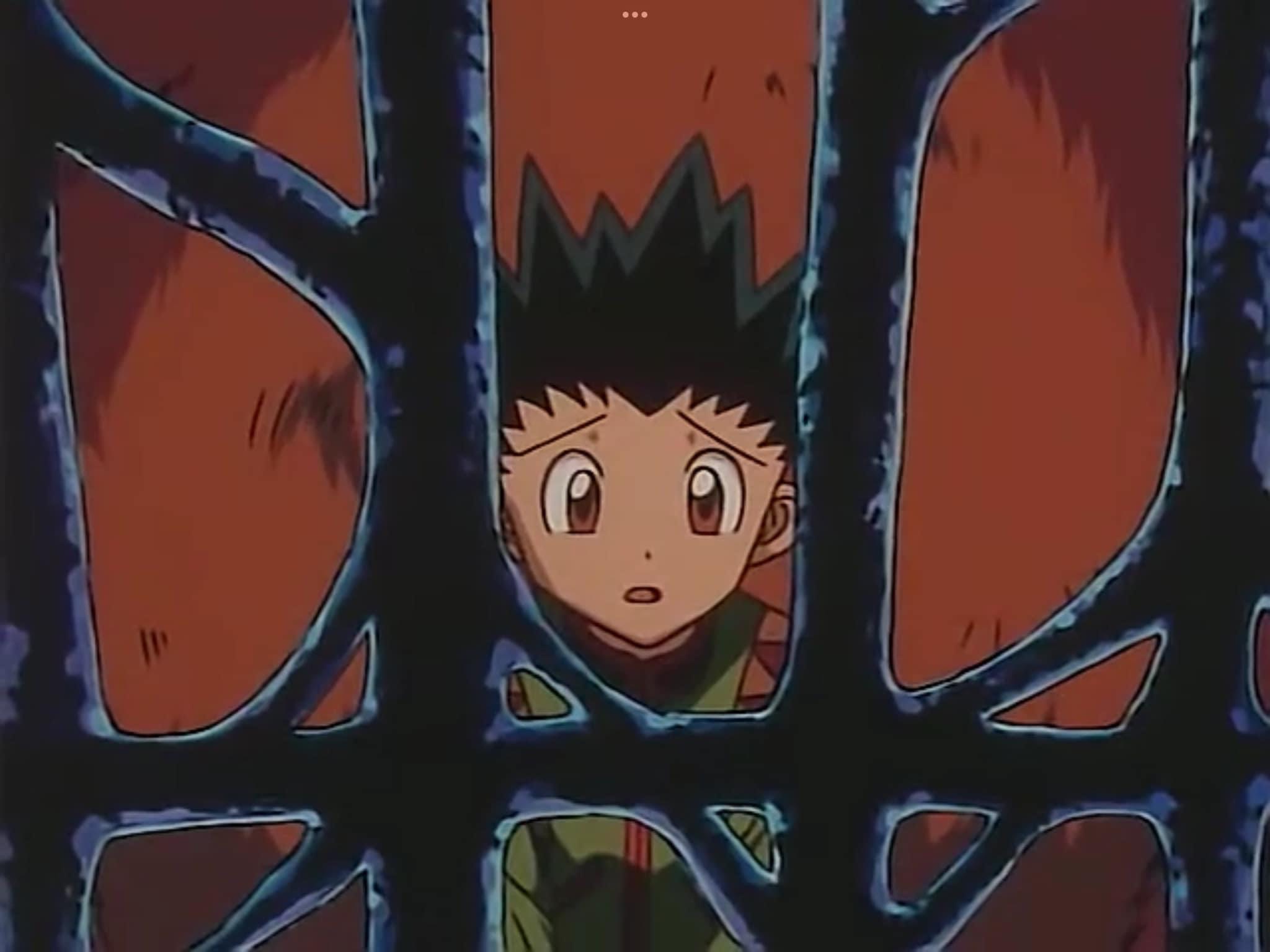 Hunter X Hunter (1999) Ep.2 by animateddistressed88 on DeviantArt