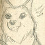 Small Sketch: Dog