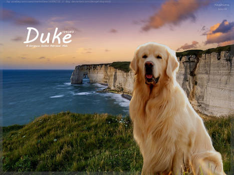 Duke