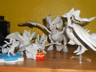 My Reshiram collection by FantasyFan13