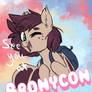 Going to bronycon!