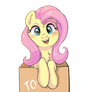 Flutters in a box