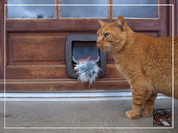 Cat invader 29 by Monsieur-Cheval on DeviantArt