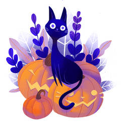 Pumpkin Cat