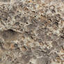 FOSSIL texture or background