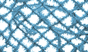 BLUE FROST PNG