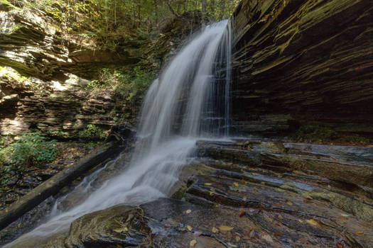 Beside the Falls (Ricketts Glen)