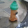 Fire Hydrant Running photo 3