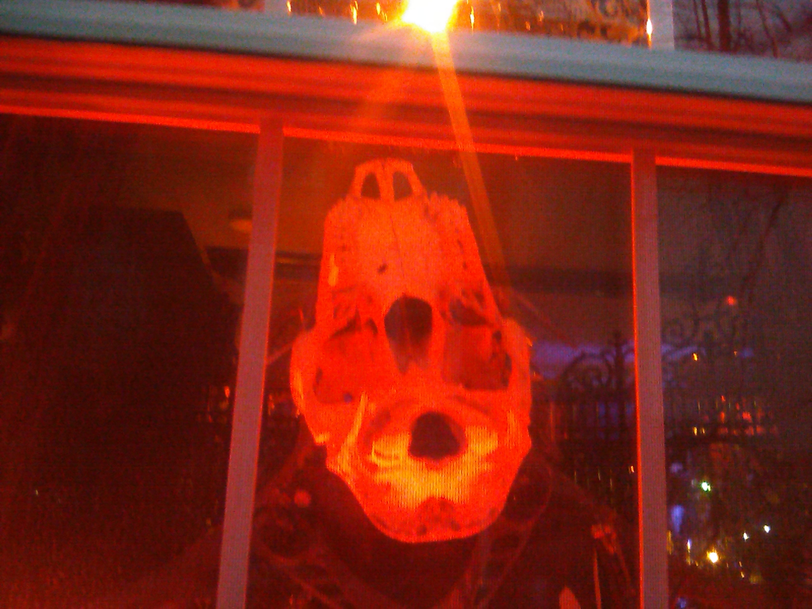 Animal Skull