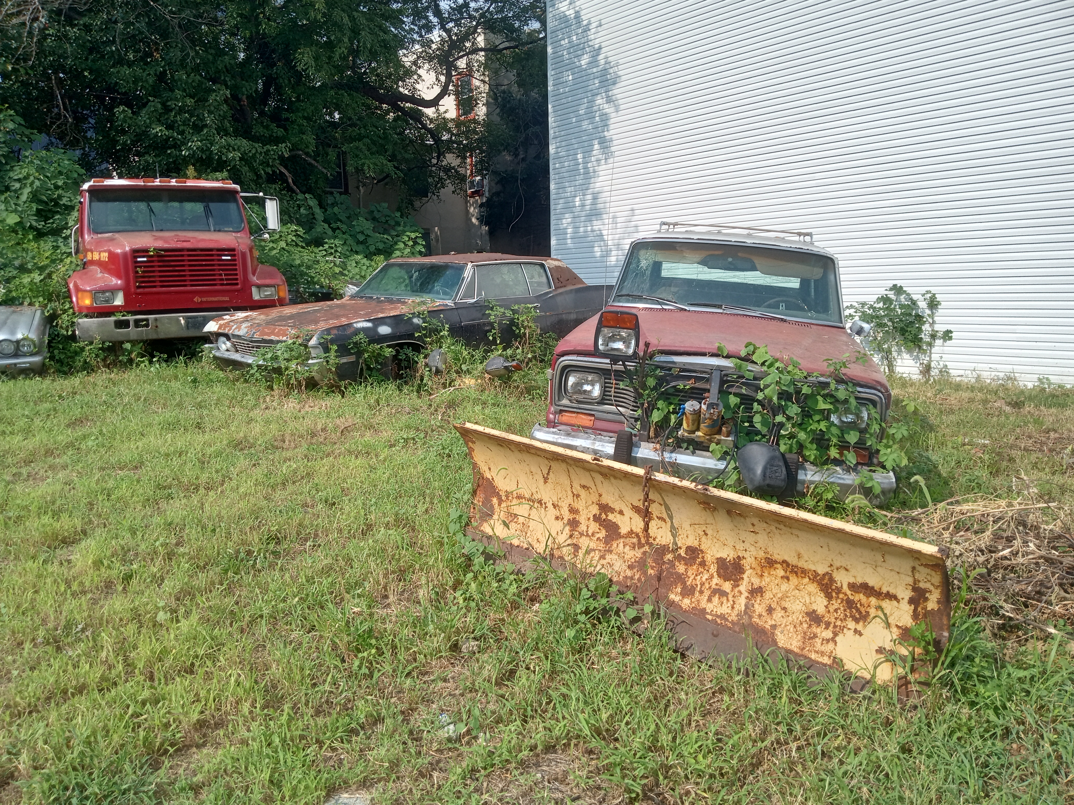 Abandoned Cars photo 2