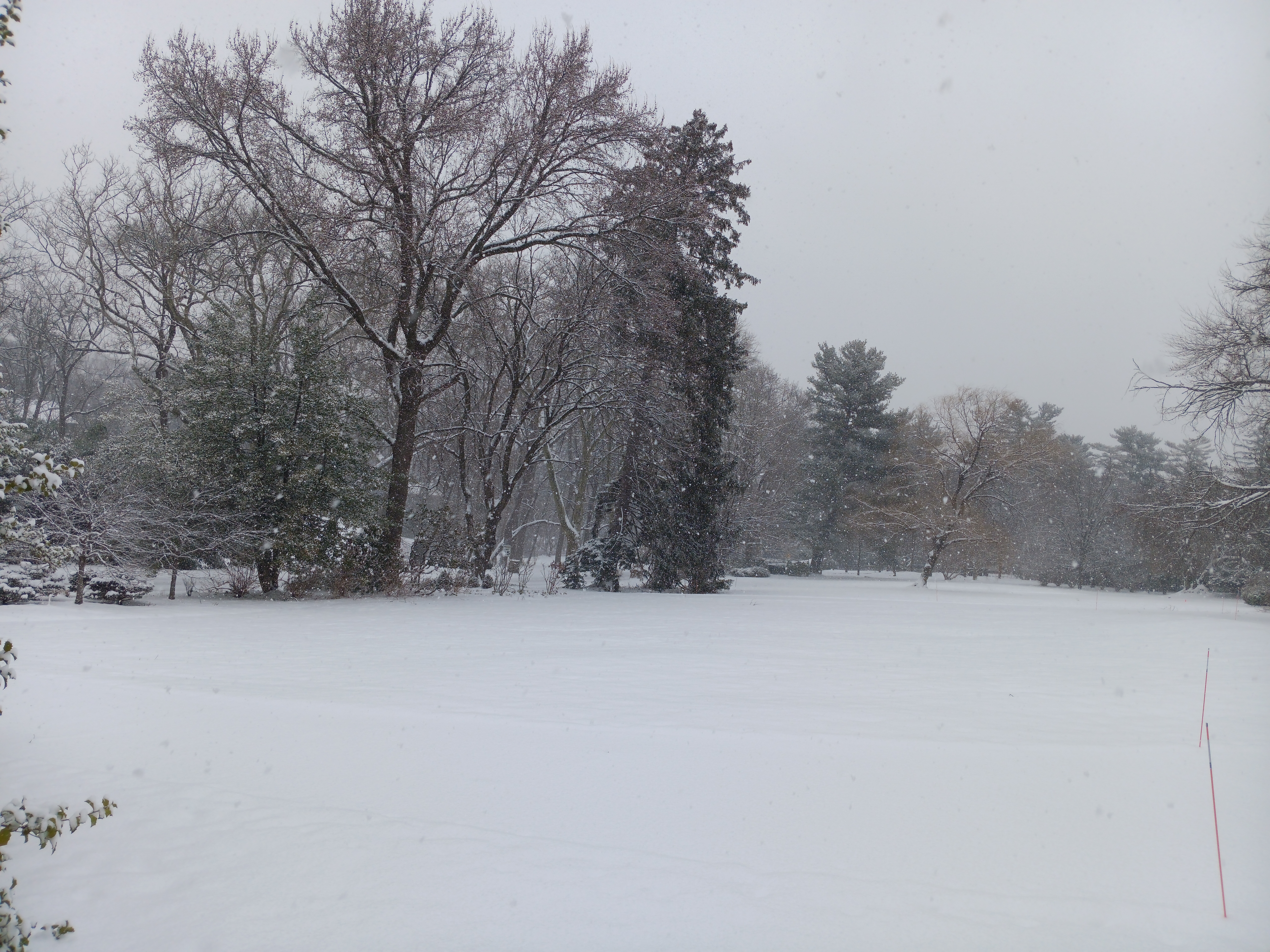 Snow Photo 1