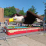 Parade Float 1