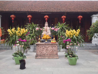 Cat in the temple.