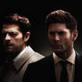 Team Free Will