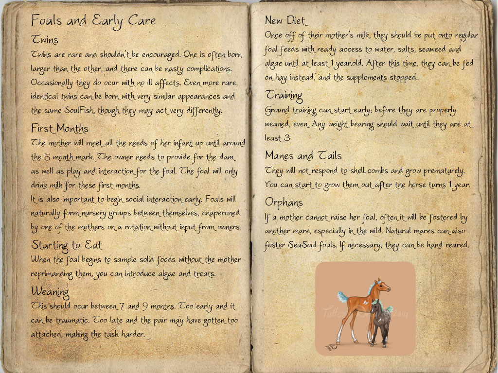 The Breedbook - Foals and Early Care