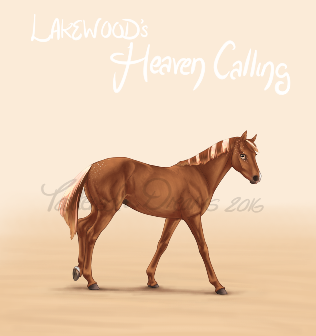 A3751 - Lakewood's Heaven Calling