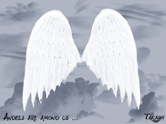 Angels are among us... TK11