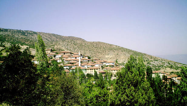 Turkish village