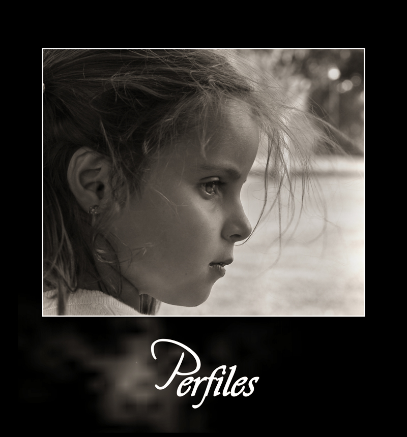 Perfiles