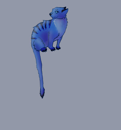 Blue Meerkat