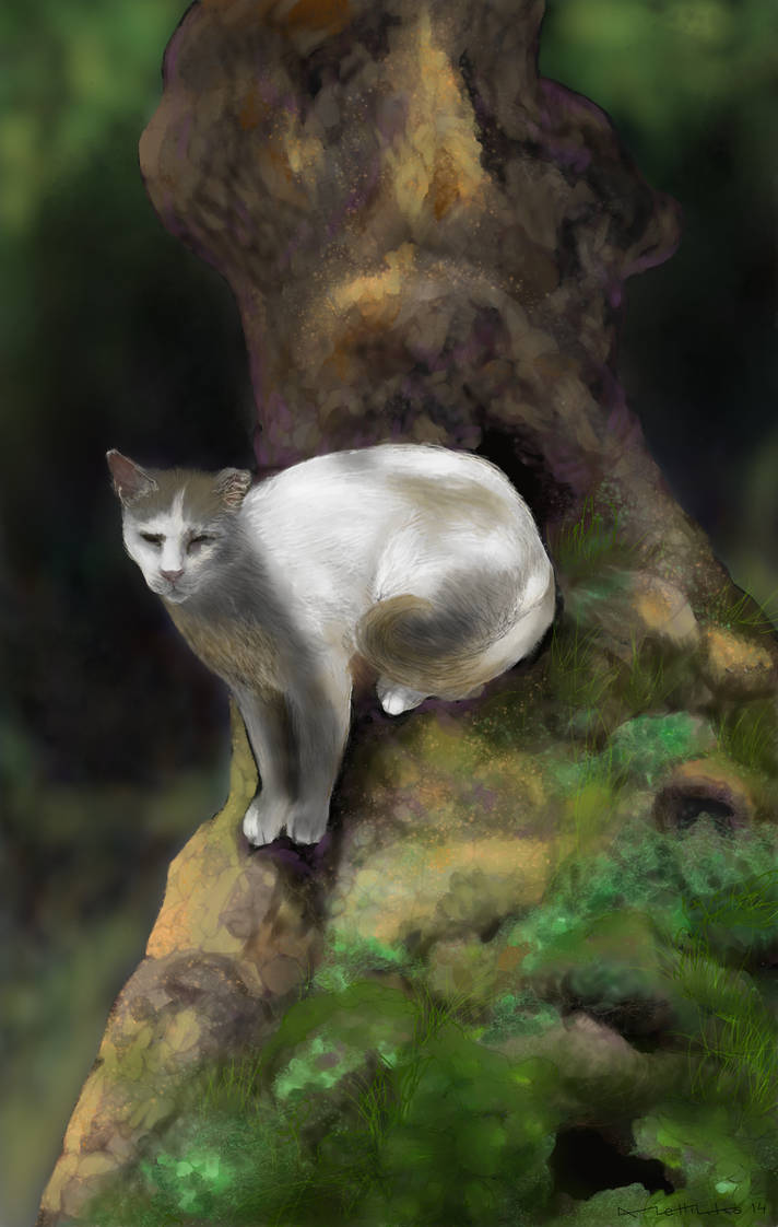 Tomcat Tree tomcat and the tree by KorsonOraakkeli on DeviantArt