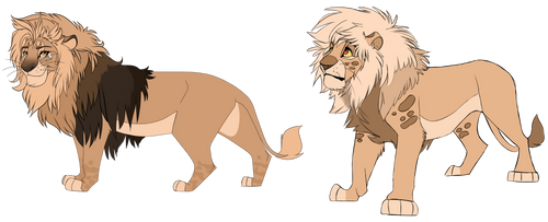 Barbary Lion Adopt's OPEN