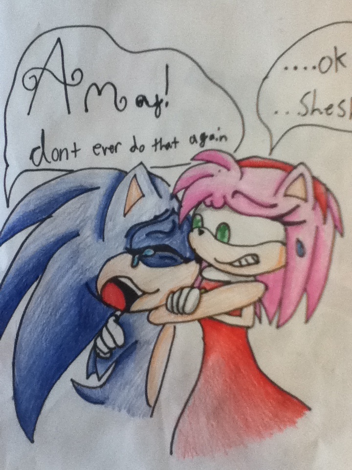 Sonic's obsession pic 2