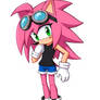 Amy Rosa the Hedgehog (Not so Crappier Version)
