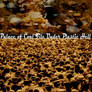 Fanfare For The Hive Mind pt2 Neuron InterFauna