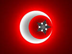 Turkey's Fractal Flag by Droid24747