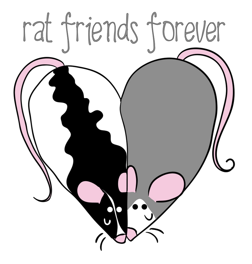 Three Rats Friend Rat friends forever by FaerielDeVille on DeviantArt