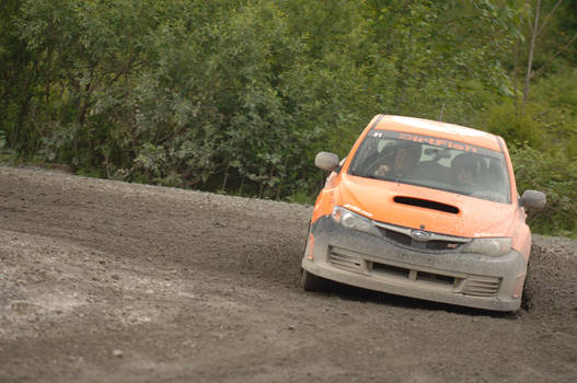 DirtFish Rally