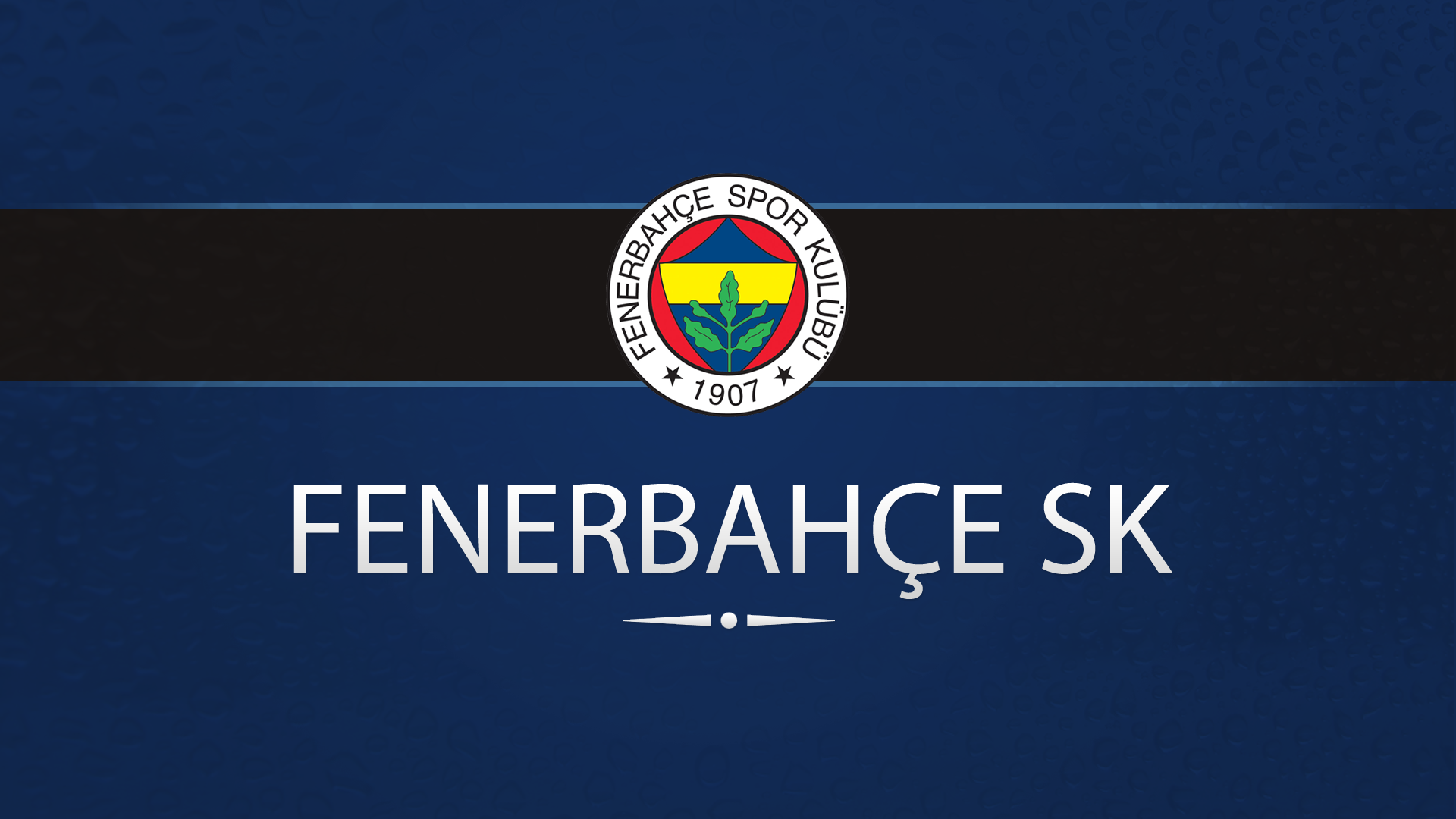 Fenerbahçe SK