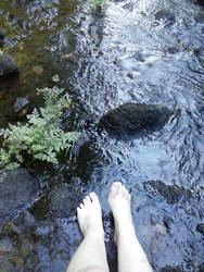 feet walking on the water