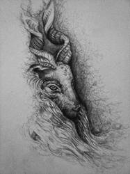 Wild markhor sketch