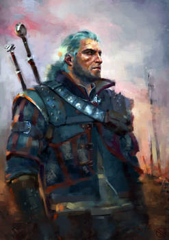 The Witcher