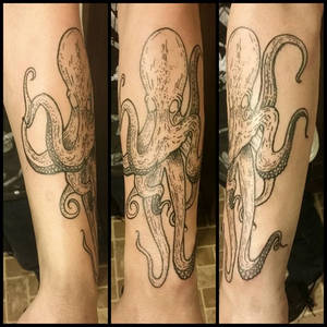 Octopus tattoo